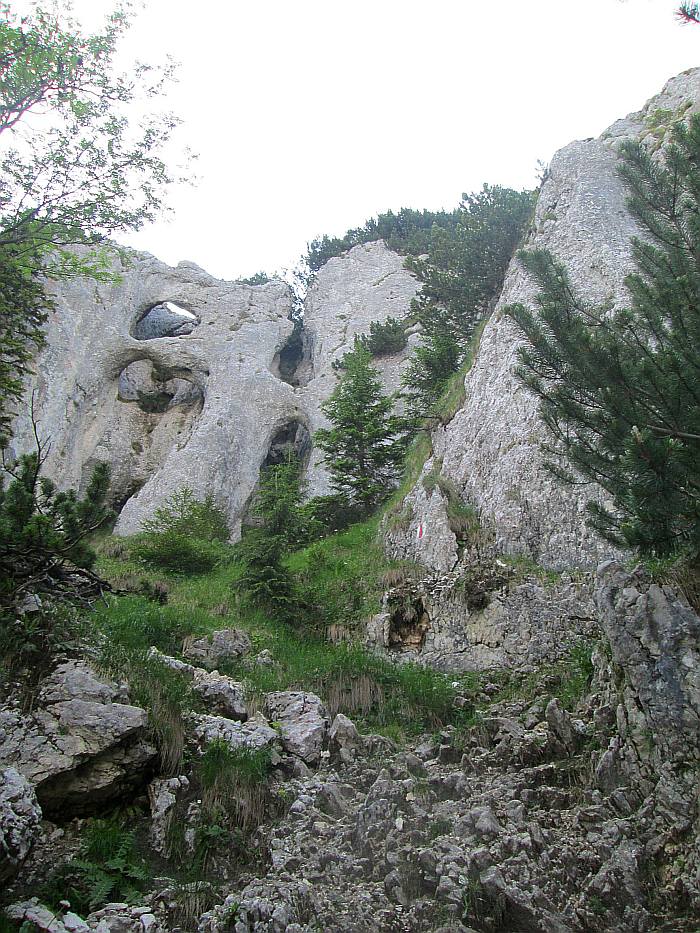 /22062013/img_6474.jpg