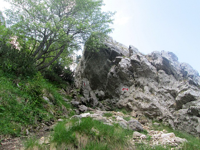/22062013/img_6489.jpg