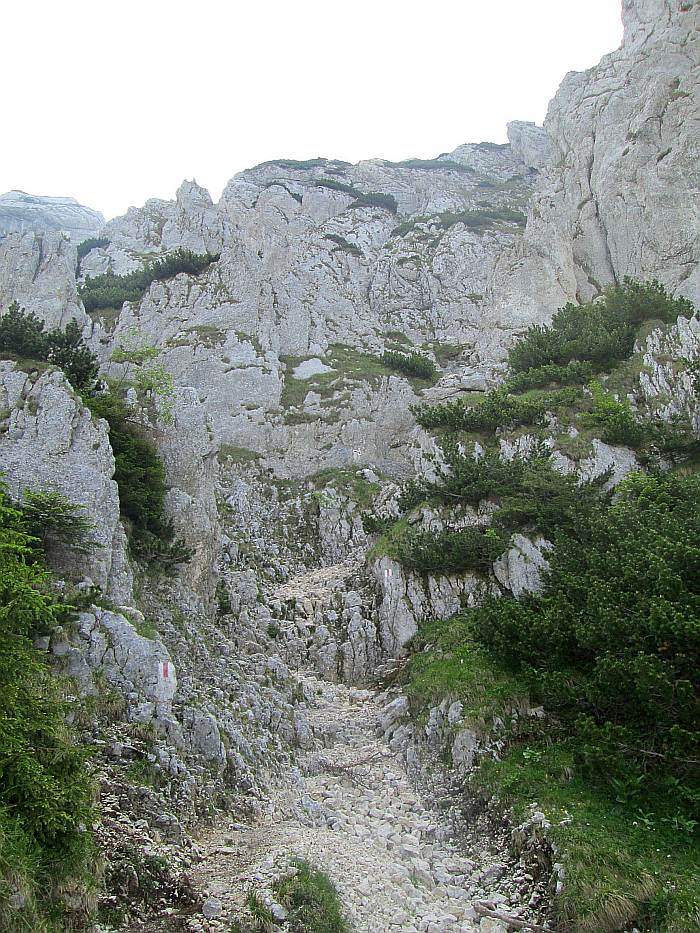 /22062013/img_6493.jpg