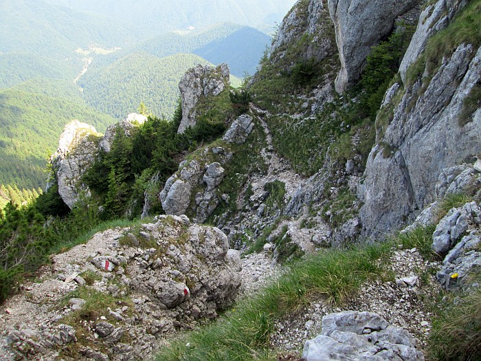 /22062013/img_6502.jpg