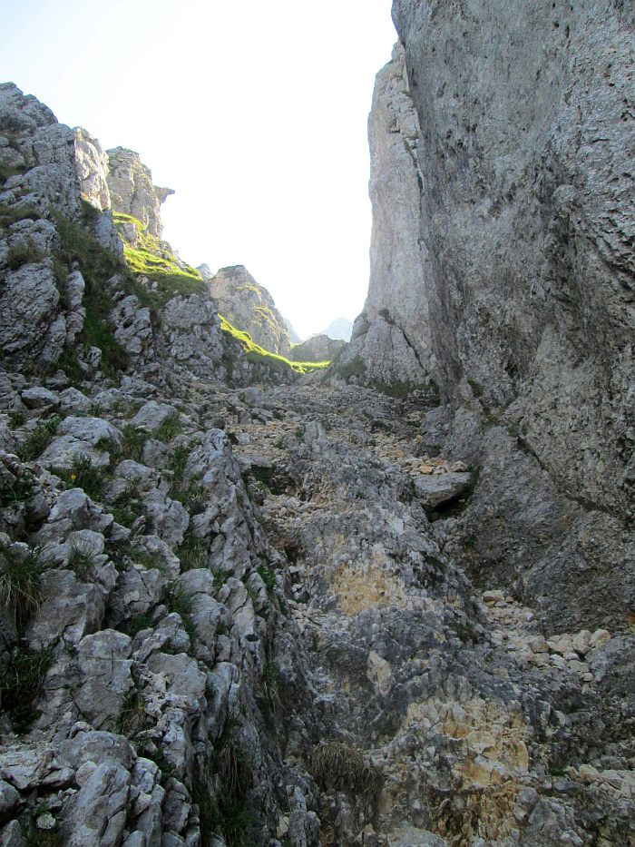 /22062013/img_6513.jpg