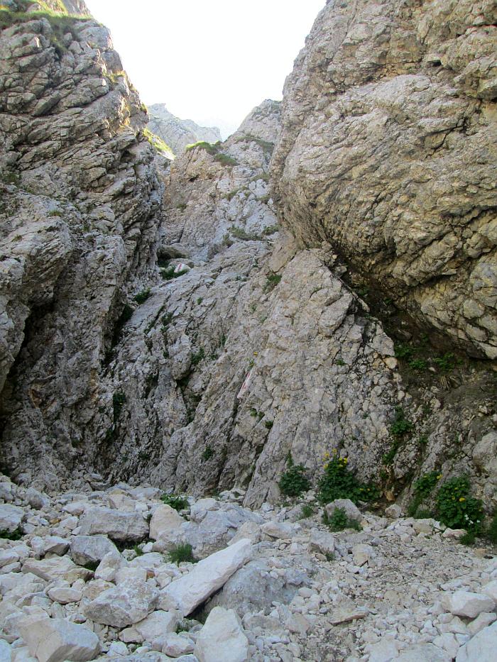 /22062013/img_6533.jpg
