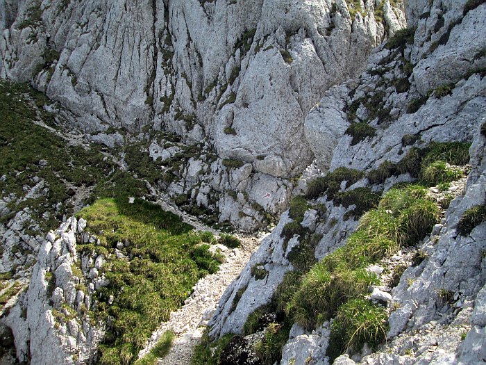 /22062013/img_6585.jpg