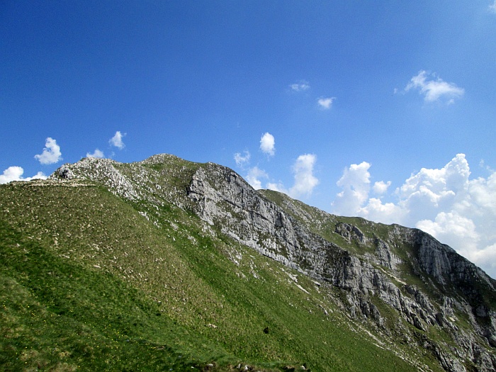 /22062013/img_6594.jpg