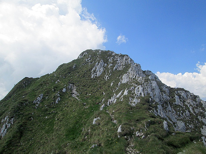 /22062013/img_6596.jpg