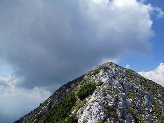 /22062013/img_6604.jpg