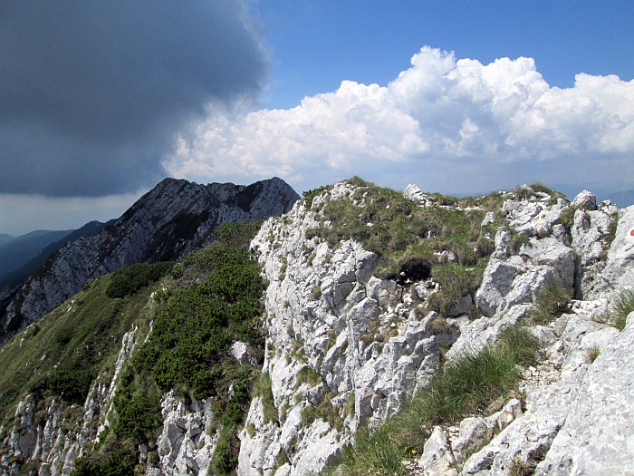 /22062013/img_6611.jpg