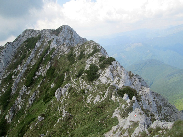/22062013/img_6617.jpg