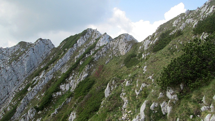 /22062013/img_6622.jpg