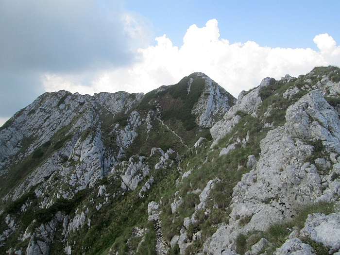 /22062013/img_6637.jpg