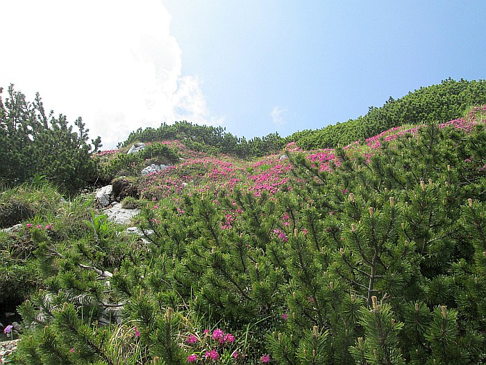 /22062013/img_6647.jpg