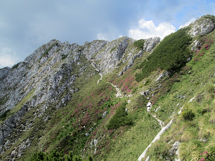 /22062013/img_6648.jpg