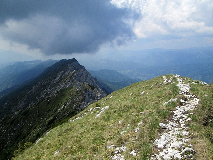 /22062013/img_6658.jpg