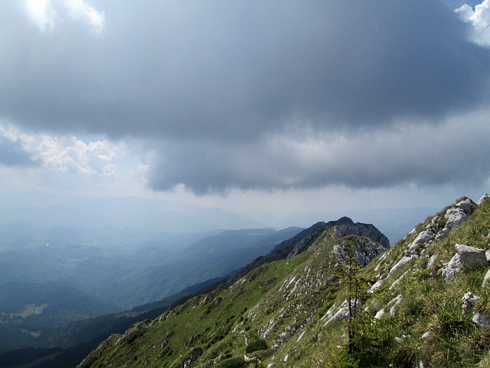 /22062013/img_6666.jpg