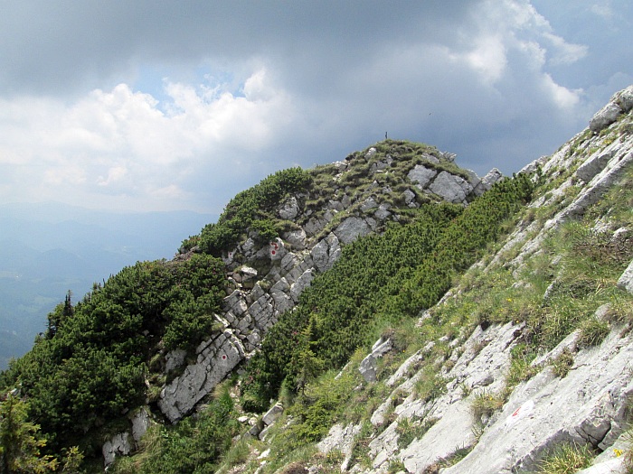 /22062013/img_6699.jpg