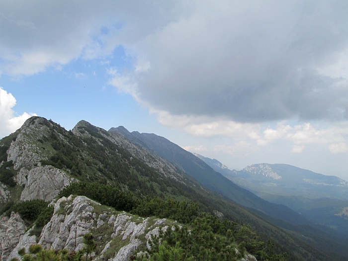 /22062013/img_6726.jpg