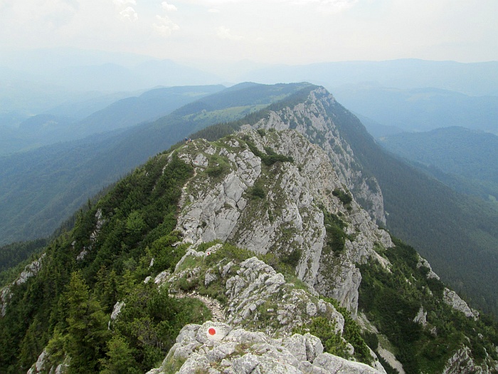 /22062013/img_6731.jpg