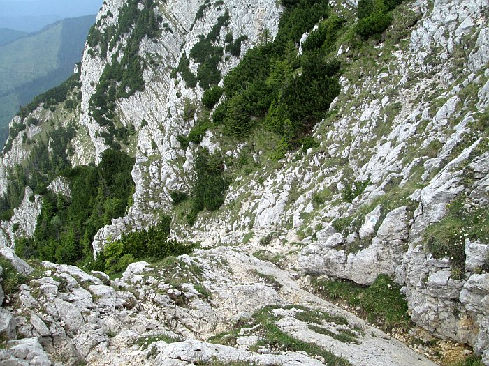 /220620132/img_6749.jpg