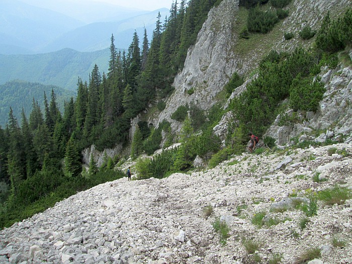 /220620132/img_6778.jpg