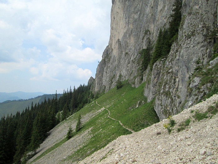 /220620132/img_6798.jpg