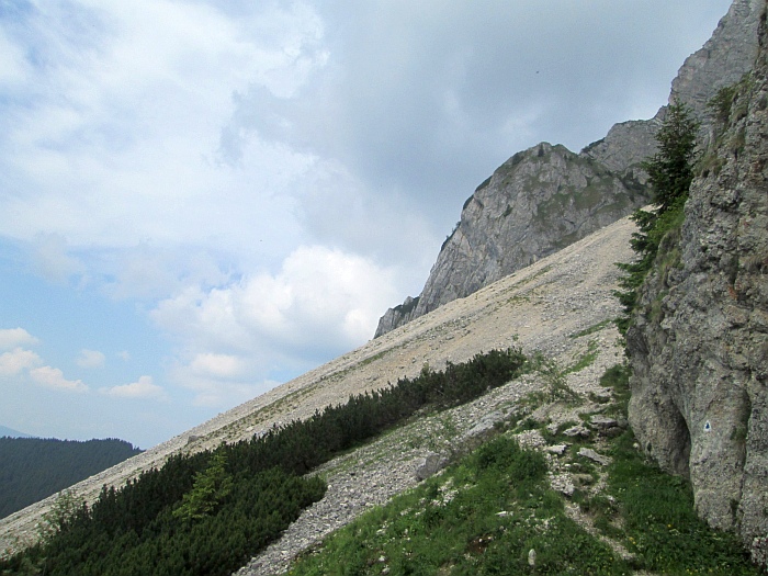 /220620132/img_6808.jpg