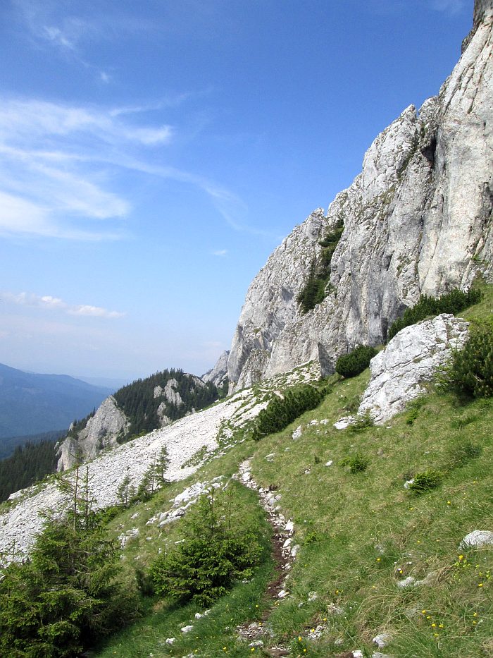 /220620132/img_6847.jpg