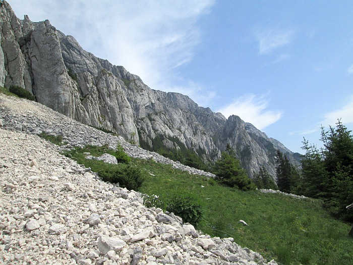 /220620132/img_6851.jpg