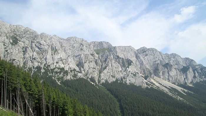 /220620132/img_6856.jpg