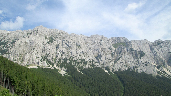 /220620132/img_6860.jpg