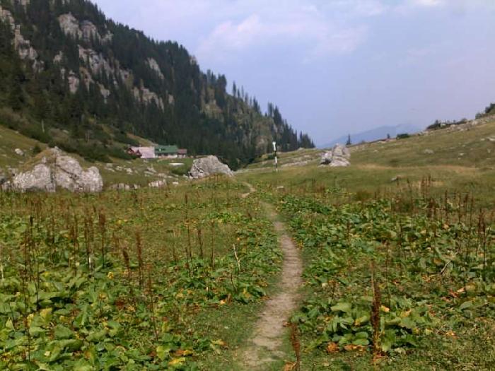 /25august/250820122732-800x600.jpg