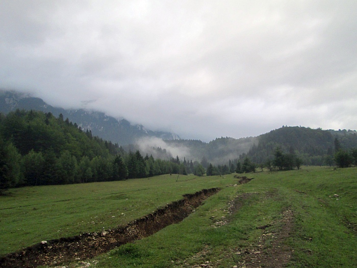/cioranga_mare/img_7702.jpg