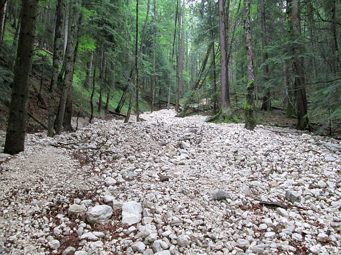 /cioranga_mare/img_7714.jpg