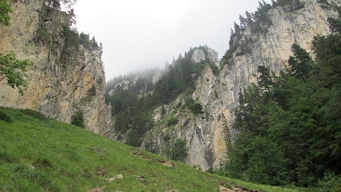 /cioranga_mare/img_7723.jpg