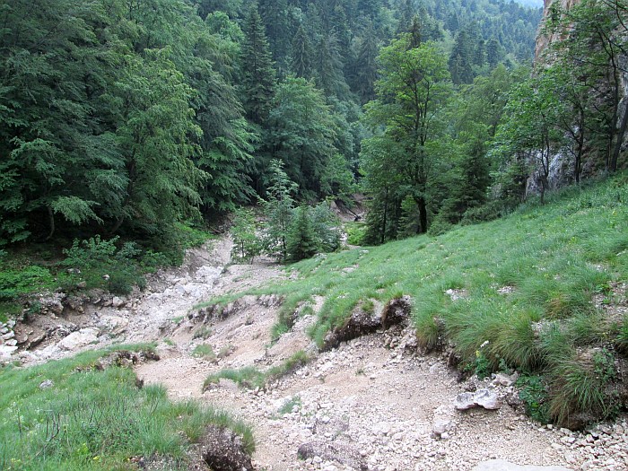 /cioranga_mare/img_7727.jpg