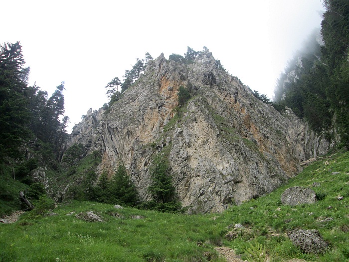 /cioranga_mare/img_7730.jpg