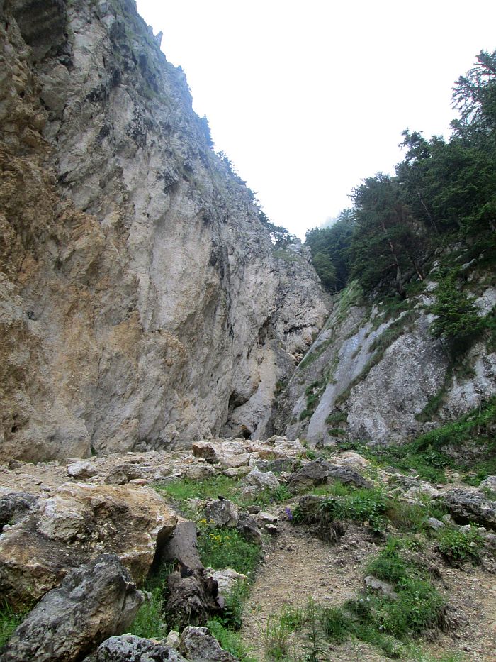 /cioranga_mare/img_7739.jpg