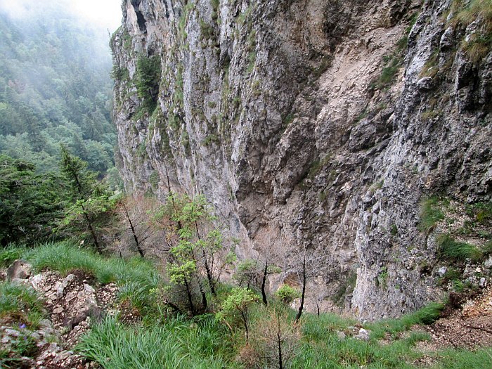 /cioranga_mare/img_7754.jpg