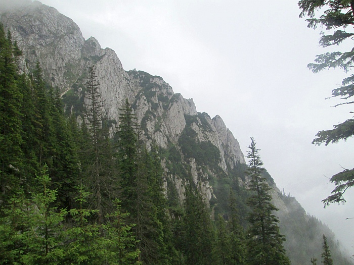 /cioranga_mare/img_7784.jpg