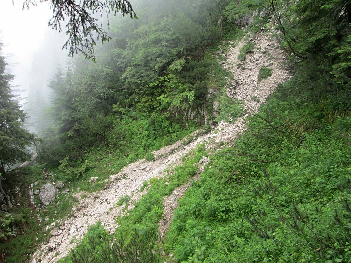 /cioranga_mare/img_7790.jpg