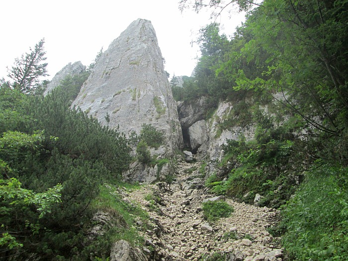 /cioranga_mare/img_7792.jpg