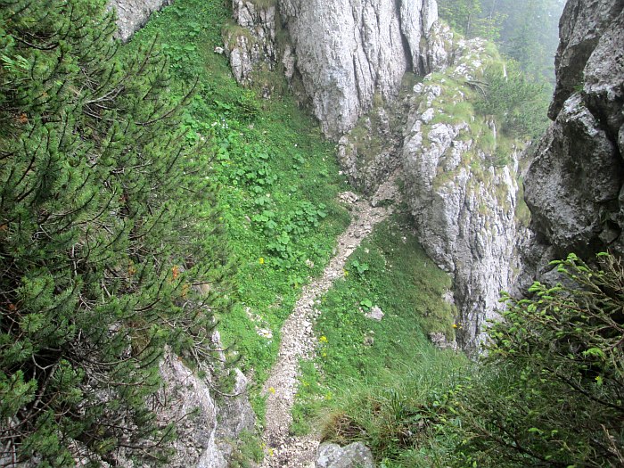/cioranga_mare/img_7804.jpg