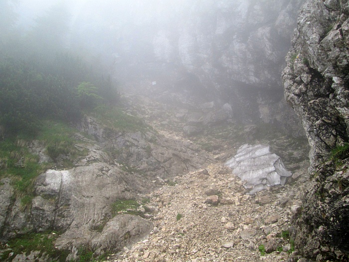 /cioranga_mare/img_7823.jpg