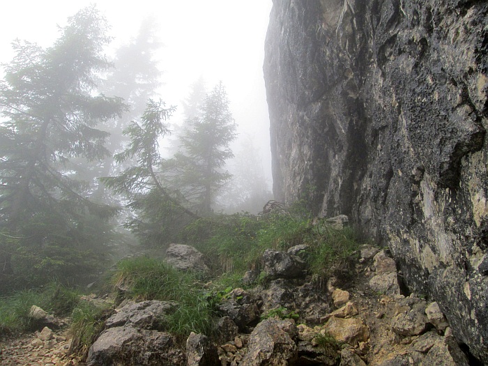 /cioranga_mare/img_7827.jpg