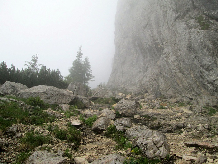 /cioranga_mare/img_7832.jpg