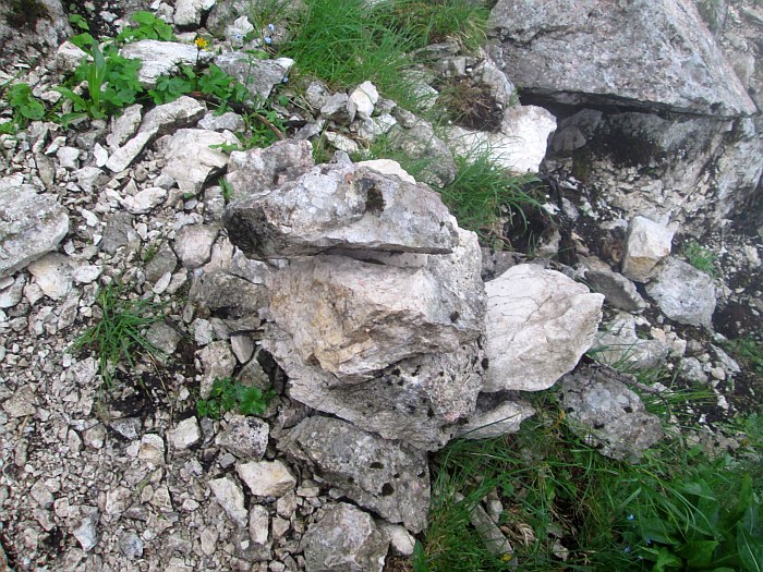 /cioranga_mare/img_7835.jpg