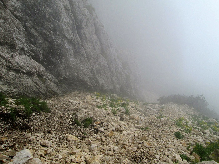/cioranga_mare/img_7851.jpg