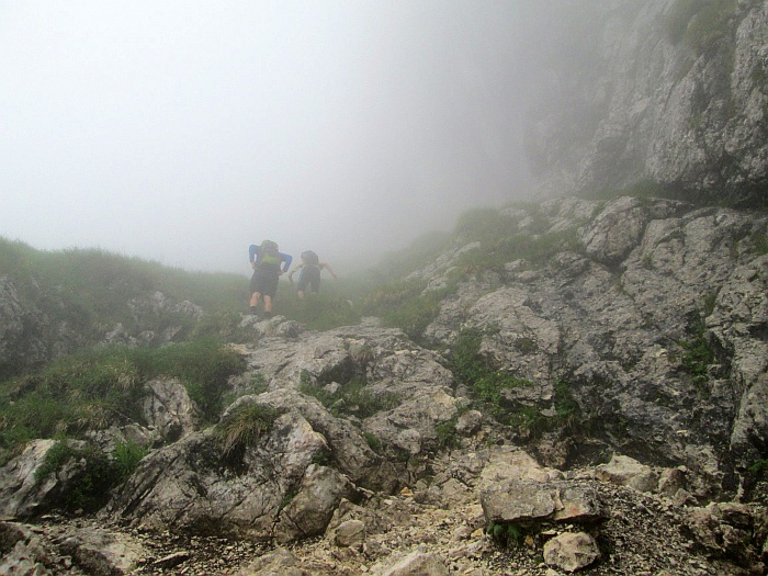 /cioranga_mare/img_7855.jpg