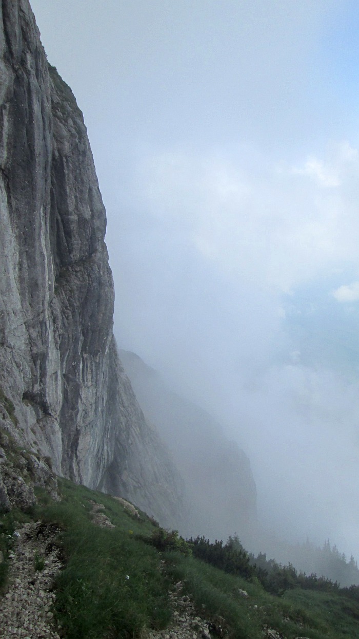 /cioranga_mare/img_7868.jpg