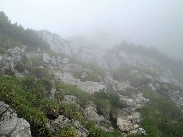 /cioranga_mare/img_7884.jpg