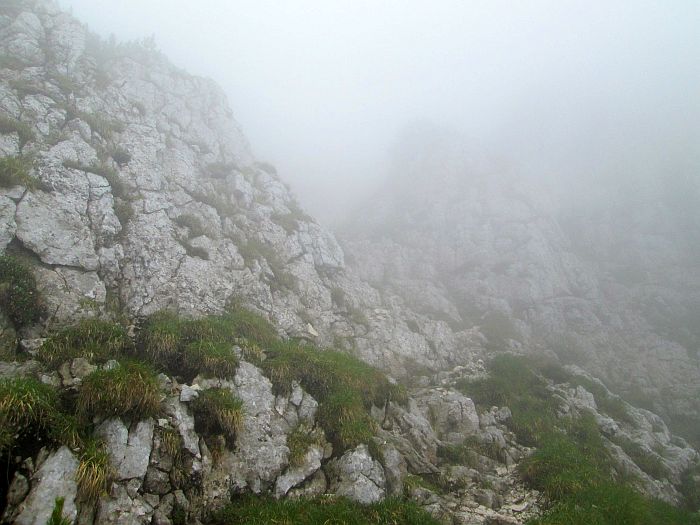/cioranga_mare/img_7887.jpg